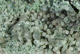 Sparkly Green Botryoidal Grape Agate - Indonesia #370419-1